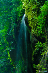 由布川峡谷（２）