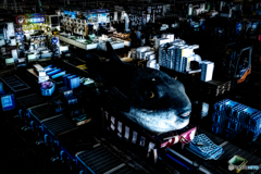 Street snap 下関唐戸市場 #25