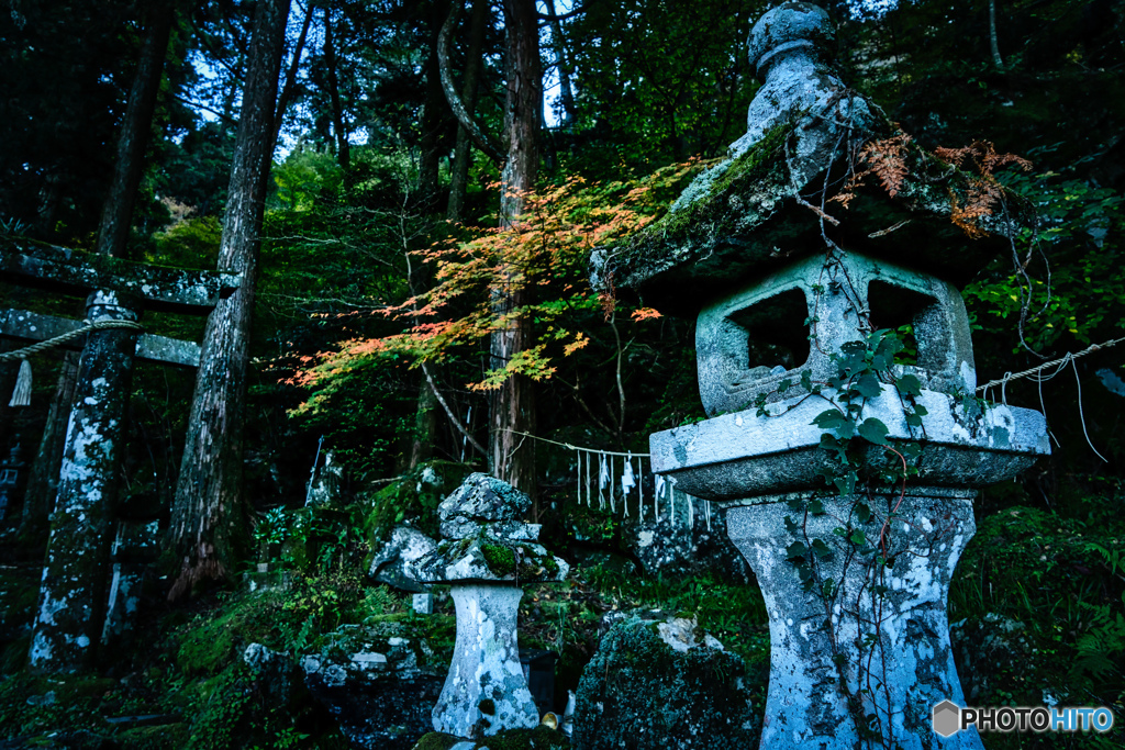 2019 秋 豊前坊 高住神社