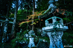 2019 秋 豊前坊 高住神社