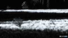 冬の日差し #10 B&W