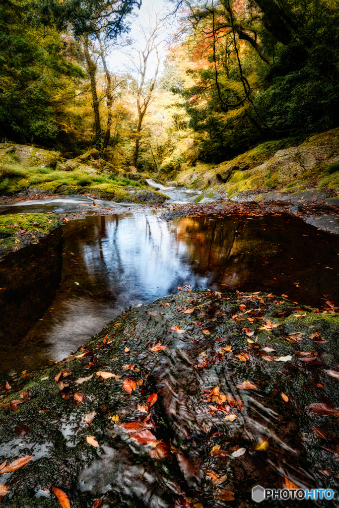 2019 秋 菊池渓谷 #10
