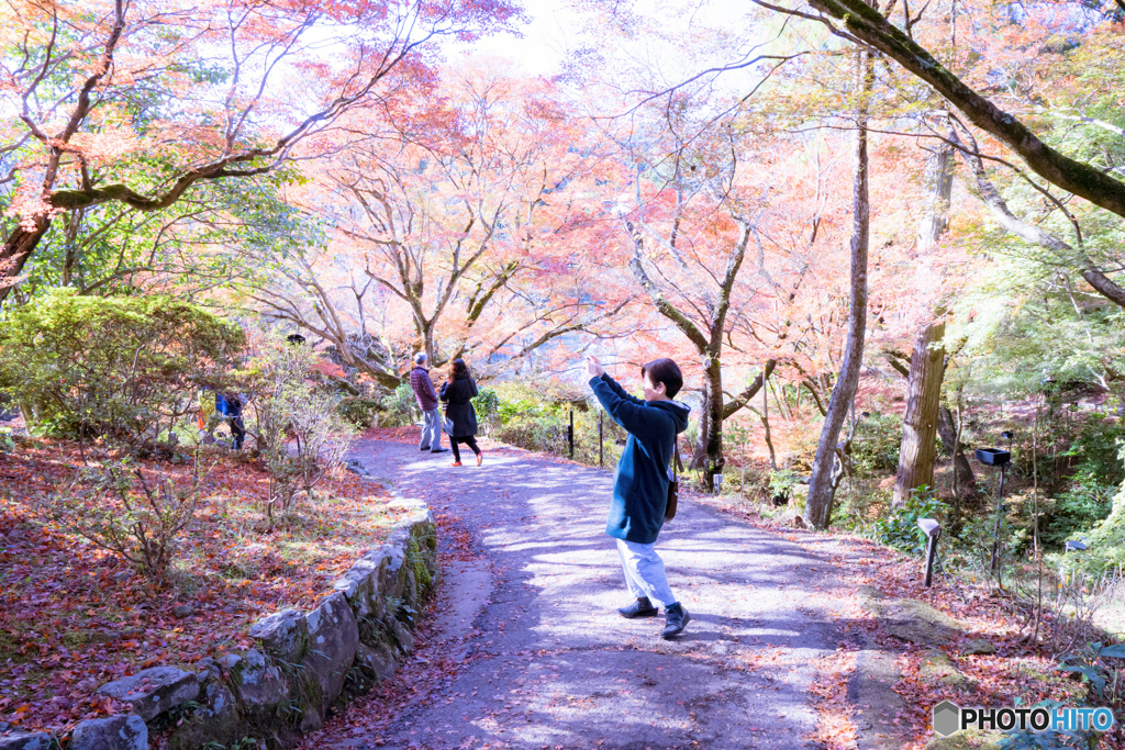 2019 秋 佐賀県御船山楽園 #21