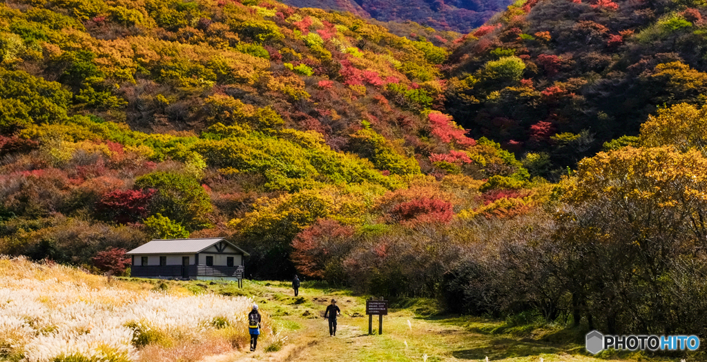 坊ガツル 2018秋 #5