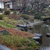 DSC00890_DxO