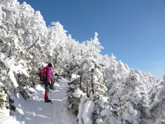 白銀の雪山散歩