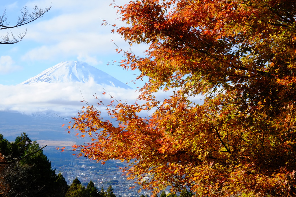 紅葉と雪山