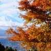 紅葉と雪山