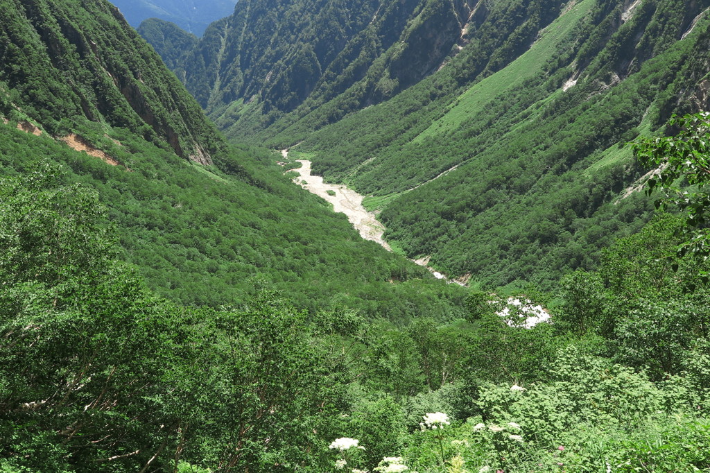 槍沢、夏景