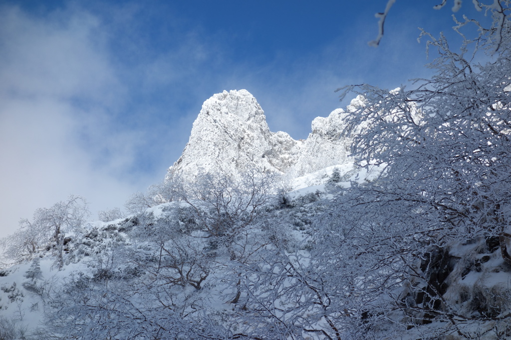 氷雪の大同心