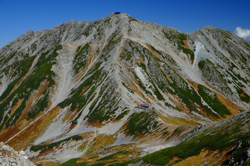 一の越山荘