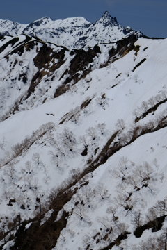 残雪の槍ヶ岳