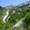 クヌビ沢、春景