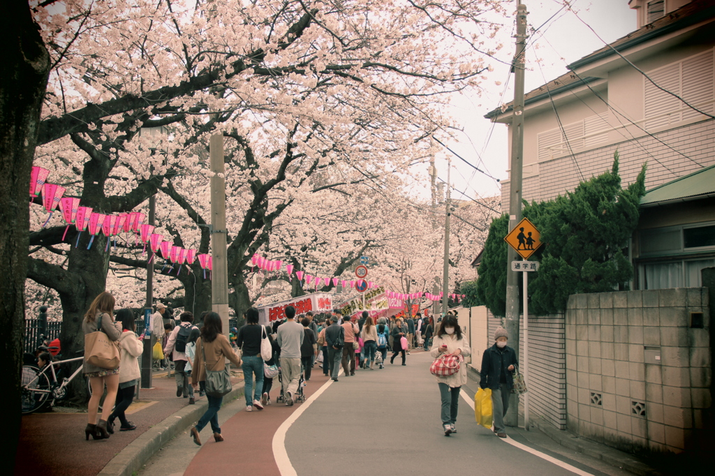 桜をみながら美味しいものを食べるぞ
