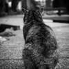 誰かを待ってる？