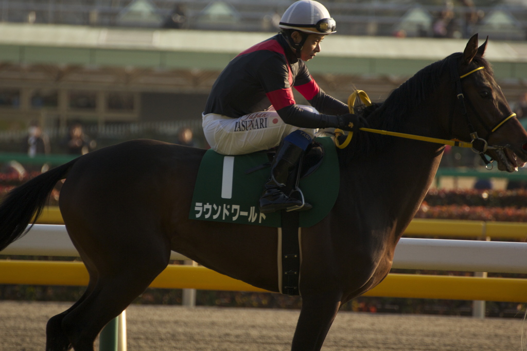 勝つための熱意