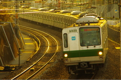緑の電車。