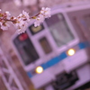 桜色の季節。
