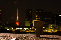 東京タワー　おかんとボクと時々ダンボー