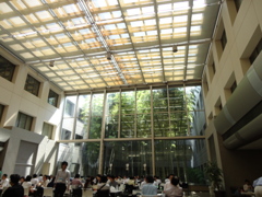 sunshower