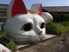 猫 vs 子猫