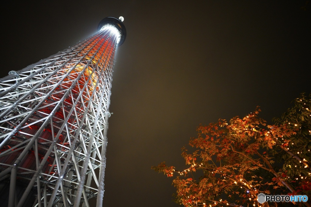 Skytree