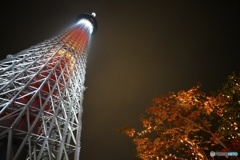 Skytree