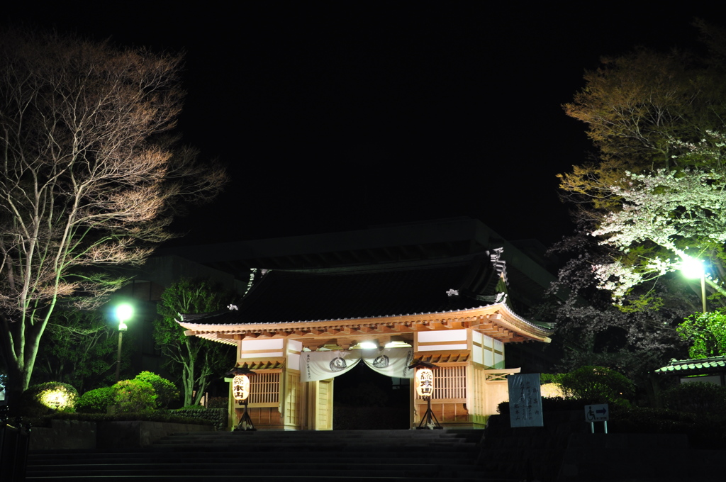 夜も美