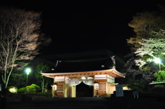 夜も美