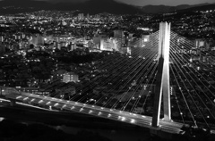 夜の翼