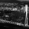 夜の翼