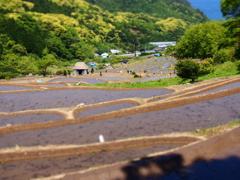 始りの季節