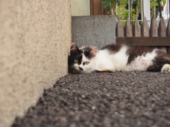 居心地のいい場所