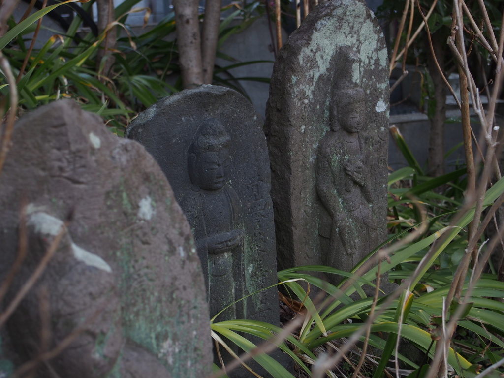 とある寺の片隅にて