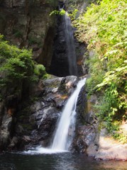 夏の涼を求めて