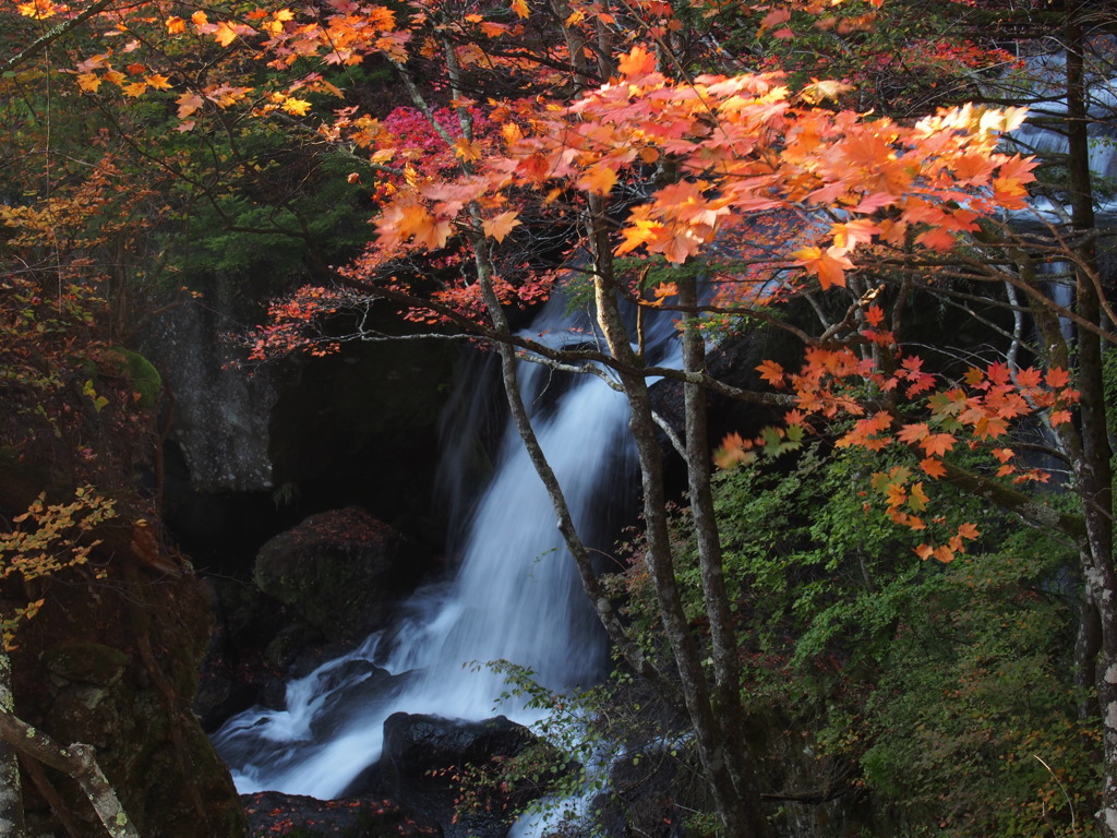 紅葉と滝