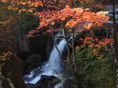 紅葉と滝