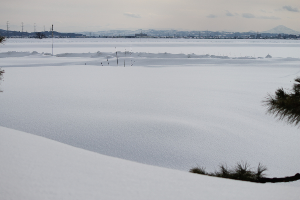 雪原