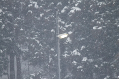 雪国