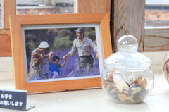 ２０１１　富良野　北の国から　拾ってきた家