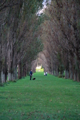 ２０１２　前田森林公園③