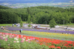 2011 富良野　彩香の里
