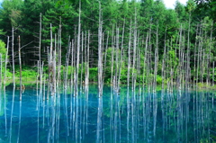 青い池