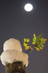 ２０１１　雪だるまと月