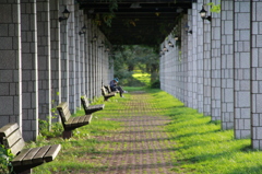 ２０１２　前田森林公園②