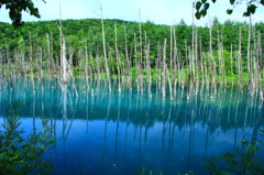 青い池