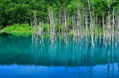 青い池
