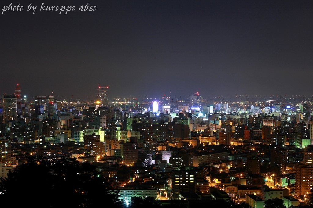 札幌の夜景（旭山記念公園から）