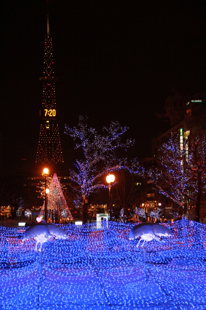 ２０１２　札幌ホワイトイルミネーション③