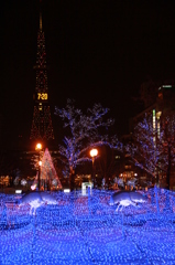 ２０１２　札幌ホワイトイルミネーション③
